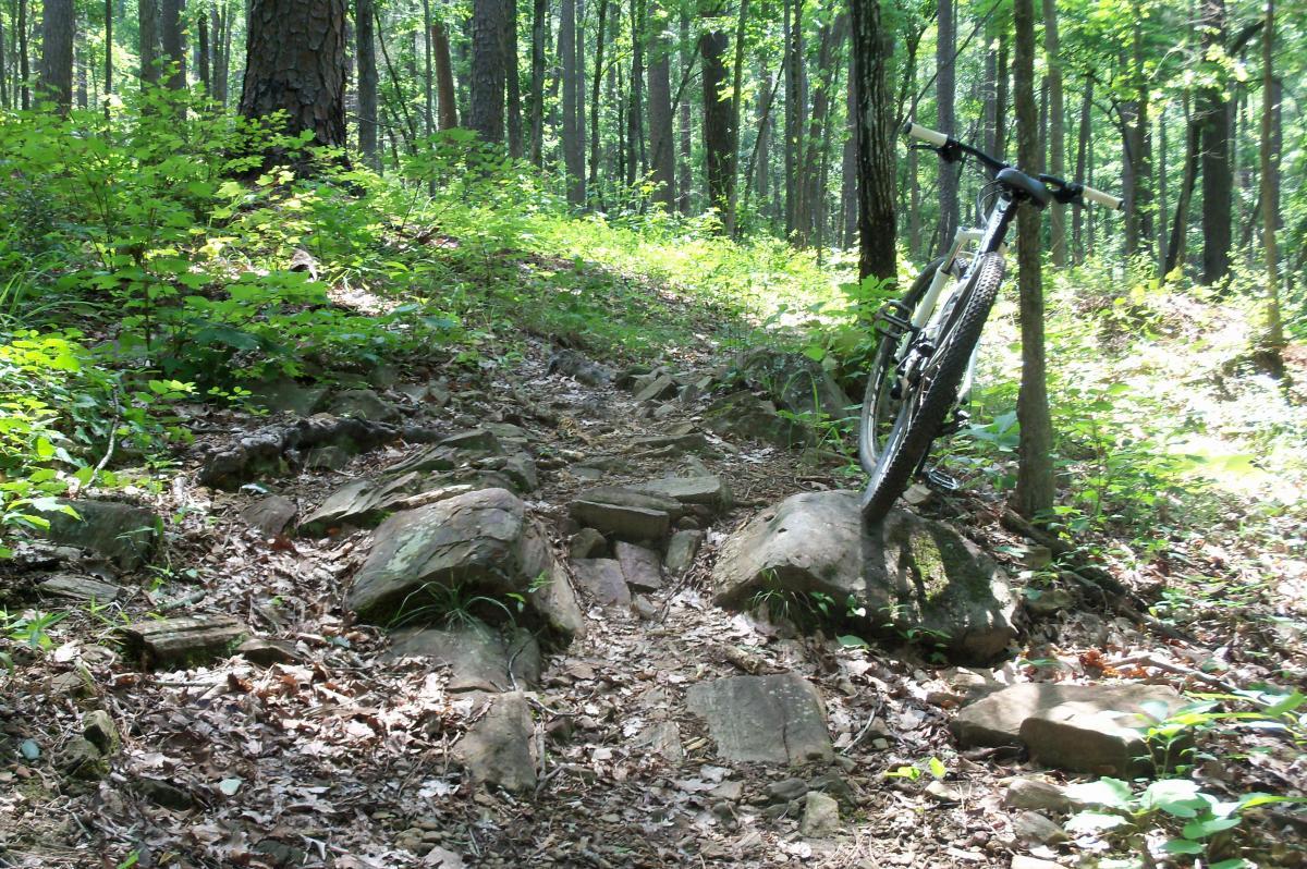 A mountain bike leaning against a large rock on a rugged trail surrounded by lush green trees and foliage. The ground is uneven with scattered rocks and fallen leaves, indicating a natural, outdoor setting. Lick Fork (Horn Creek) mountain bike trail.