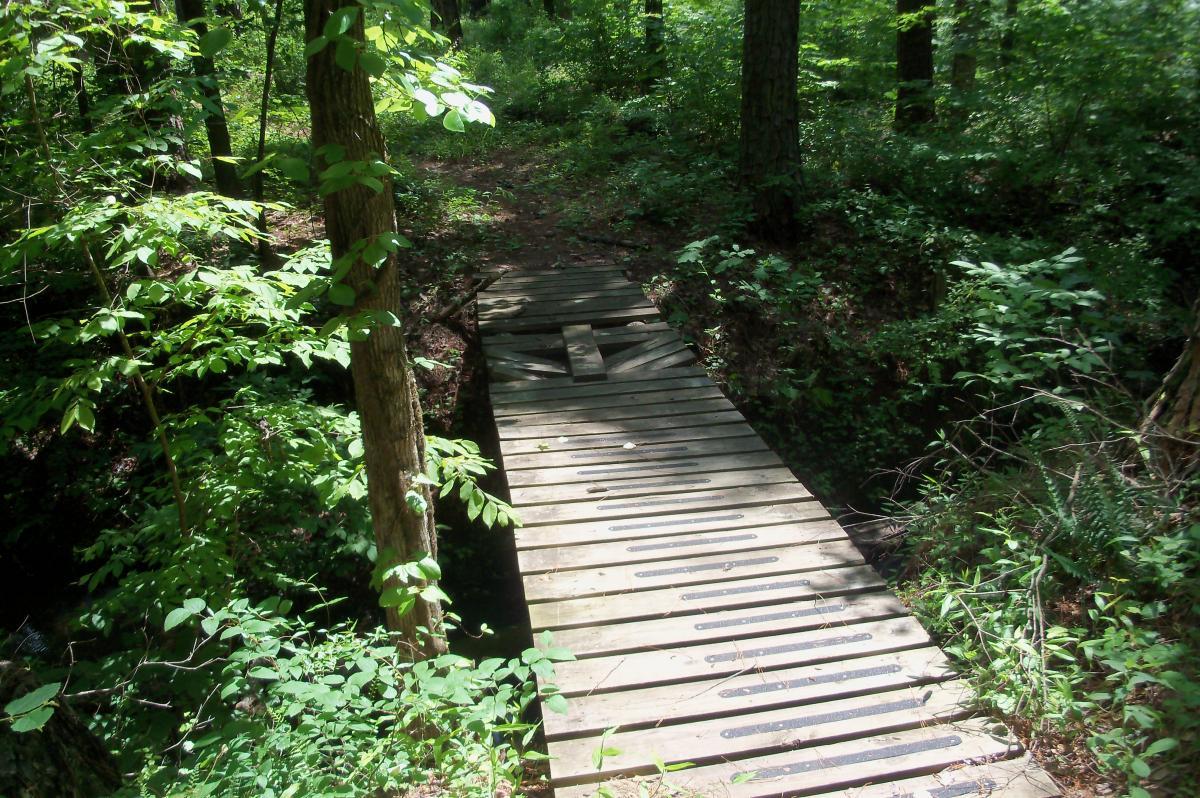 A narrow wooden bridge crossing a small creek, surrounded by lush green foliage and trees in a forest setting. The sunlight filters through the leaves, illuminating the path ahead. Lick Fork (Horn Creek) mountain bike trail.
