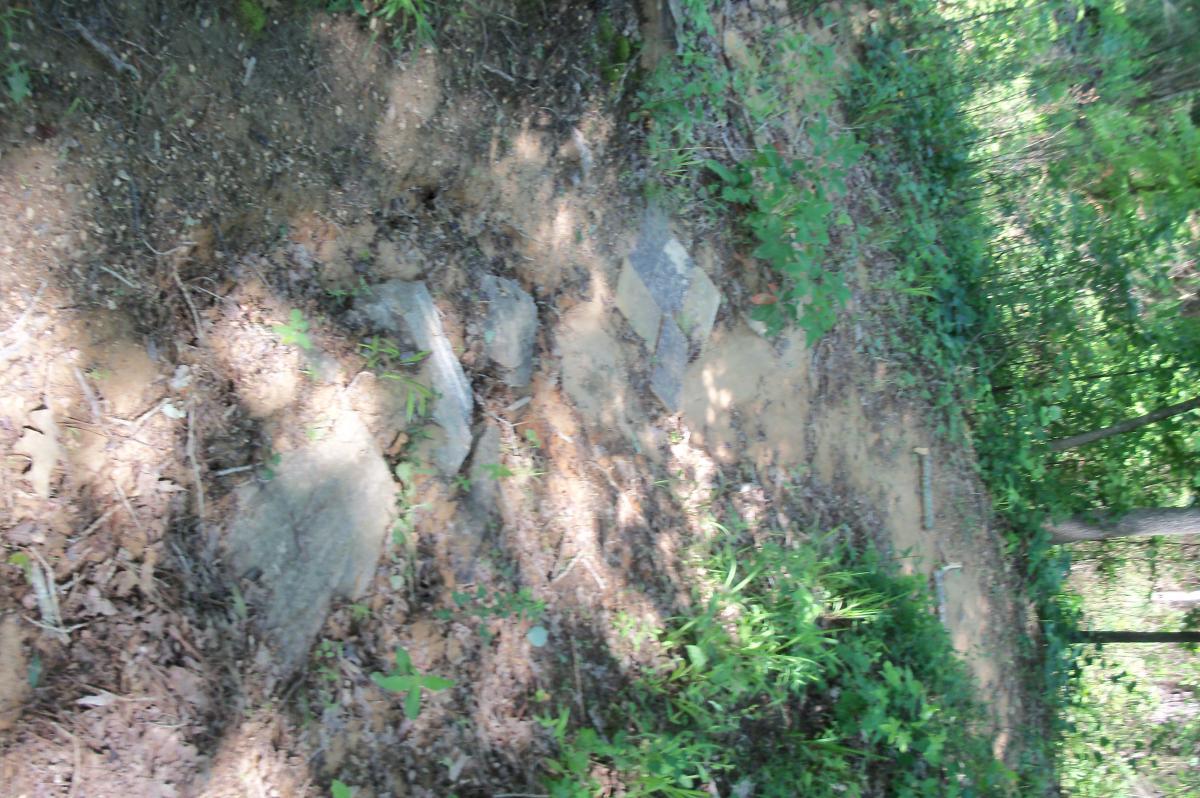 A dirt path in a wooded area, partially covered with rocks and surrounded by greenery, including shrubs and small plants. Sunlight filters through the trees, casting shadows on the ground. Lick Fork (Horn Creek) mountain bike trail.