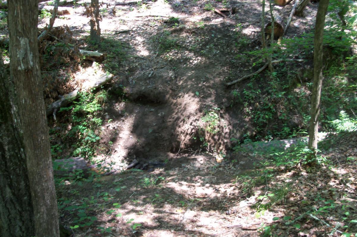A sunlit section of a forest showing a small dirt slope covered in leaves and scattered rocks, with trees surrounding the area. Lick Fork (Horn Creek) mountain bike trail.