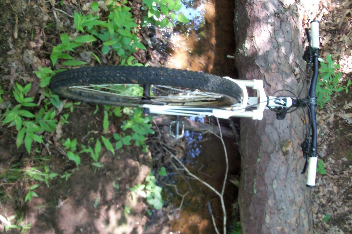 A mountain bike resting on the ground near a small stream, surrounded by green foliage and leaves. The bike is positioned with its front wheel close to the water, indicating a natural, outdoor setting. Lick Fork (Horn Creek) mountain bike trail.