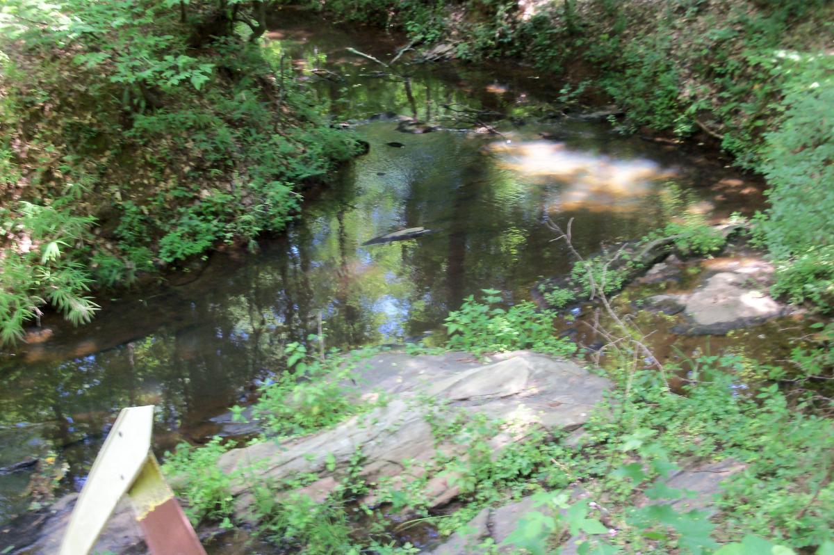 A serene view of a shallow creek surrounded by lush greenery. The water reflects the surrounding trees and rocks, creating a tranquil natural setting. In the foreground, a large, flat stone and some vegetation are visible, contributing to the peaceful atmosphere of the scene. Lick Fork (Horn Creek) mountain bike trail.