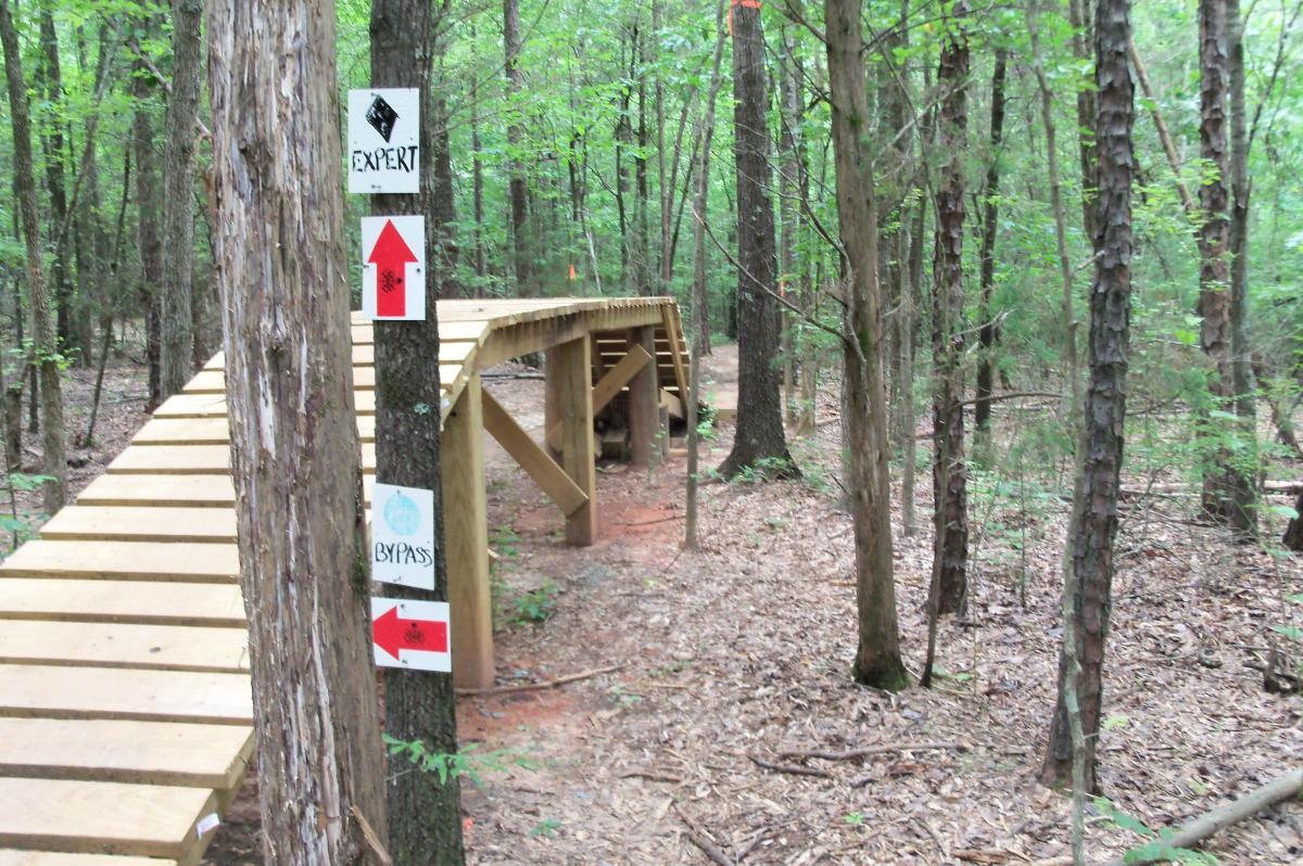 A wooden bridge elevated over a forested trail, with various directional signs indicating different routes. The signs include an "Expert" trail marker, a "Bypass" option, and arrows indicating directions. The area is surrounded by tall trees and lush greenery, creating a natural, outdoor setting. Colonel Francis Beatty Park mountain bike trail.