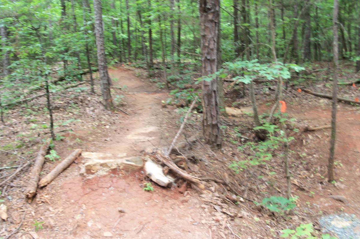 A dirt trail winding through a wooded area, with trees and greenery surrounding the pathway. There are fallen logs and rocks along the edges, and hints of orange markers visible among the foliage. The scene appears lush and natural, indicative of a hiking or biking path. Colonel Francis Beatty Park mountain bike trail.