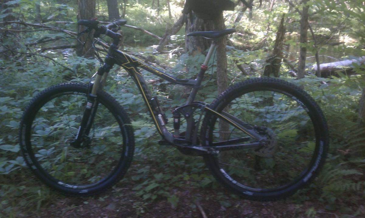 Giant Trance X 29er: A mountain bike is parked among lush greenery in a forest setting, with trees and underbrush surrounding it. The bike features a black frame with yellow accents and is equipped with thick tires suitable for off-road terrain.