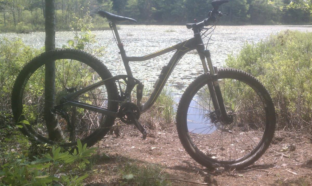 Giant Trance X 29er: A mountain bike leaning against a tree by a tranquil pond surrounded by greenery and lily pads under a clear sky.