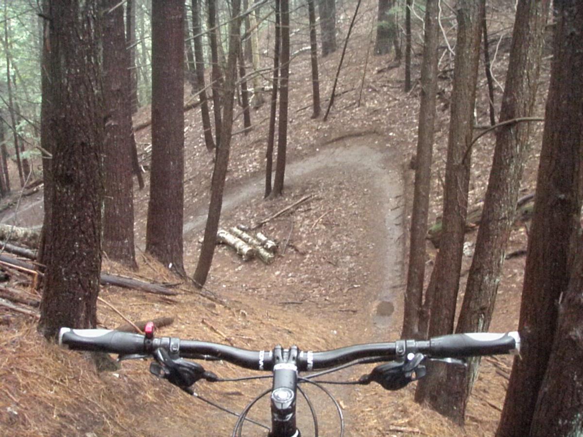 View from the handlebars of a mountain bike on a narrow, winding trail surrounded by tall trees in a forest setting, with a soft, damp ground covered in pine needles. Franklin Falls mountain bike trail.