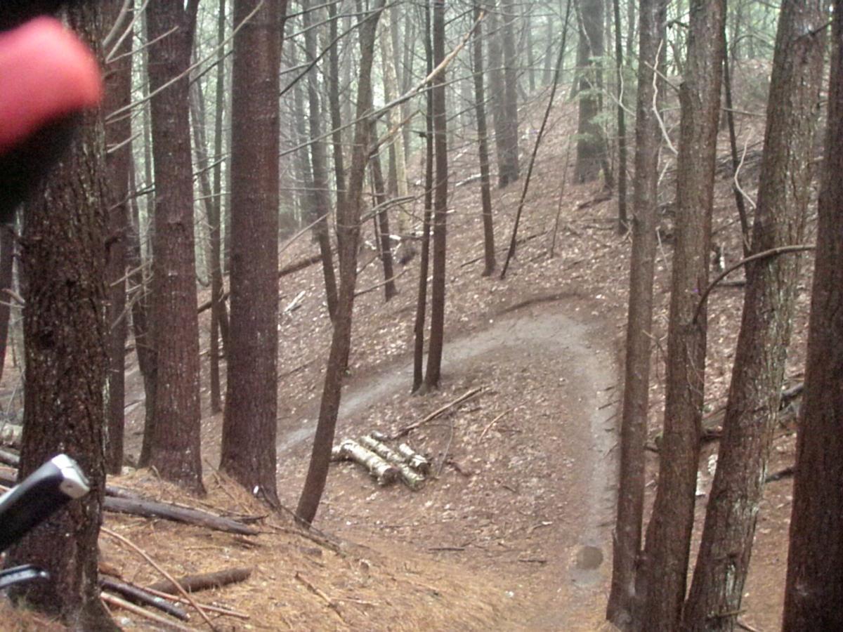 A winding dirt trail surrounded by tall trees in a misty forest setting. The ground is covered with fallen leaves and twigs, creating a natural, earthy ambiance. Franklin Falls mountain bike trail.