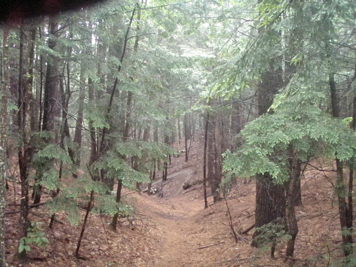 A winding dirt path through a dense forest, surrounded by tall trees with lush green foliage. The ground is covered in fallen leaves, and the atmosphere appears misty, suggesting either early morning fog or light rain. Franklin Falls mountain bike trail.