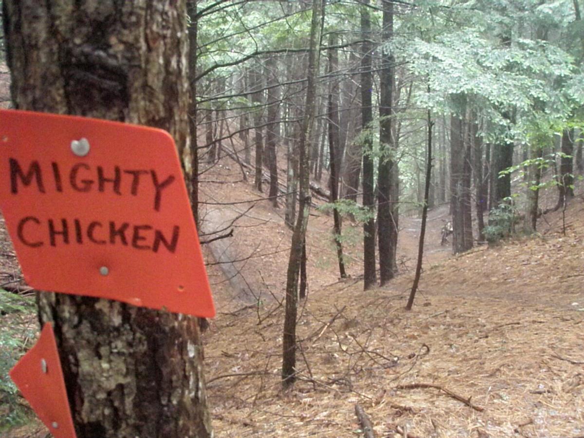 A close-up of a wooden tree trunk with an orange trail marker attached, labeled "MIGHTY CHICKEN." In the background, a wooded landscape with tall trees and a winding dirt path is visible, covered with fallen pine needles. The scene appears to be in a forested outdoor area. Franklin Falls mountain bike trail.