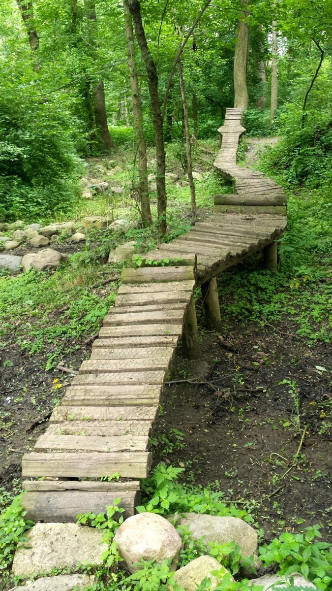 A winding wooden walkway leads through a lush green forest, surrounded by trees and underbrush. The path is made of planks and stands above the ground on wooden supports, curving gently as it moves deeper into the woods. Rocks and plants are visible along the sides of the pathway. Rangeline Nature Preserve mountain bike trail.