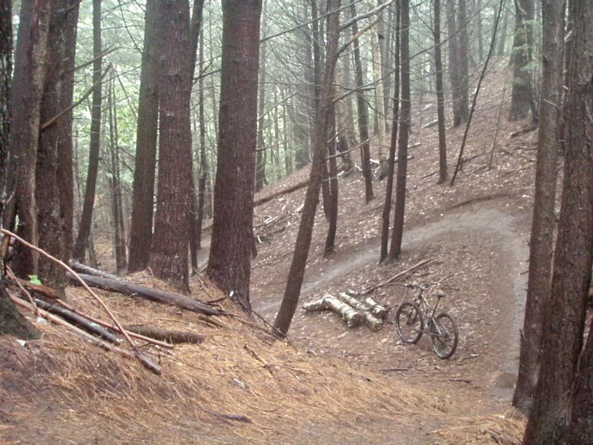 A winding dirt path through a foggy forest, flanked by tall trees. On the path, a mountain bike is leaned against a log, surrounded by fallen tree branches and pine needles. The atmosphere is serene and slightly damp, suggesting a recent rain. Franklin Falls mountain bike trail.