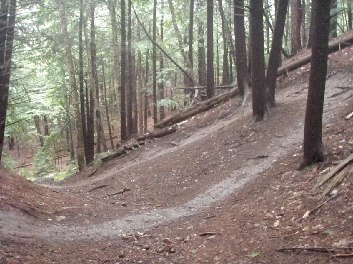 Alt text: A winding trail through a dense forest with tall trees. The ground is covered in earthy tones, with scattered leaves and some fallen logs. The atmosphere appears calm and slightly misty, suggesting a serene natural environment. Franklin Falls mountain bike trail.
