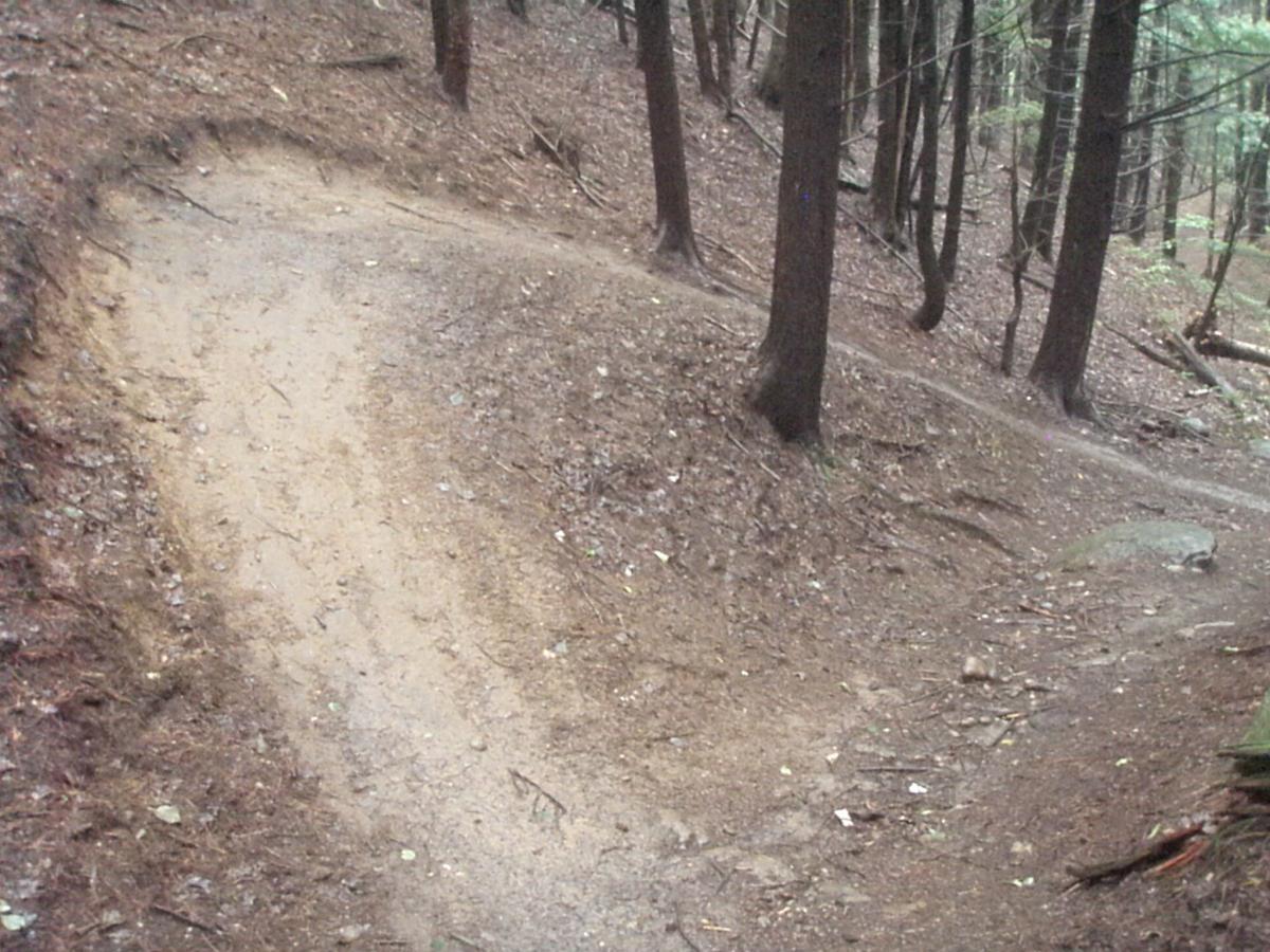 A dirt trail winding through a forest, with trees on either side and a gentle curve in the path. The ground is slightly damp and covered with leaves and small rocks. Franklin Falls mountain bike trail.