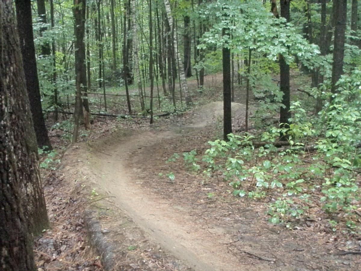 Winding dirt trail through a lush green forest, surrounded by trees and underbrush, with wet earth suggesting recent rain. Franklin Falls mountain bike trail.