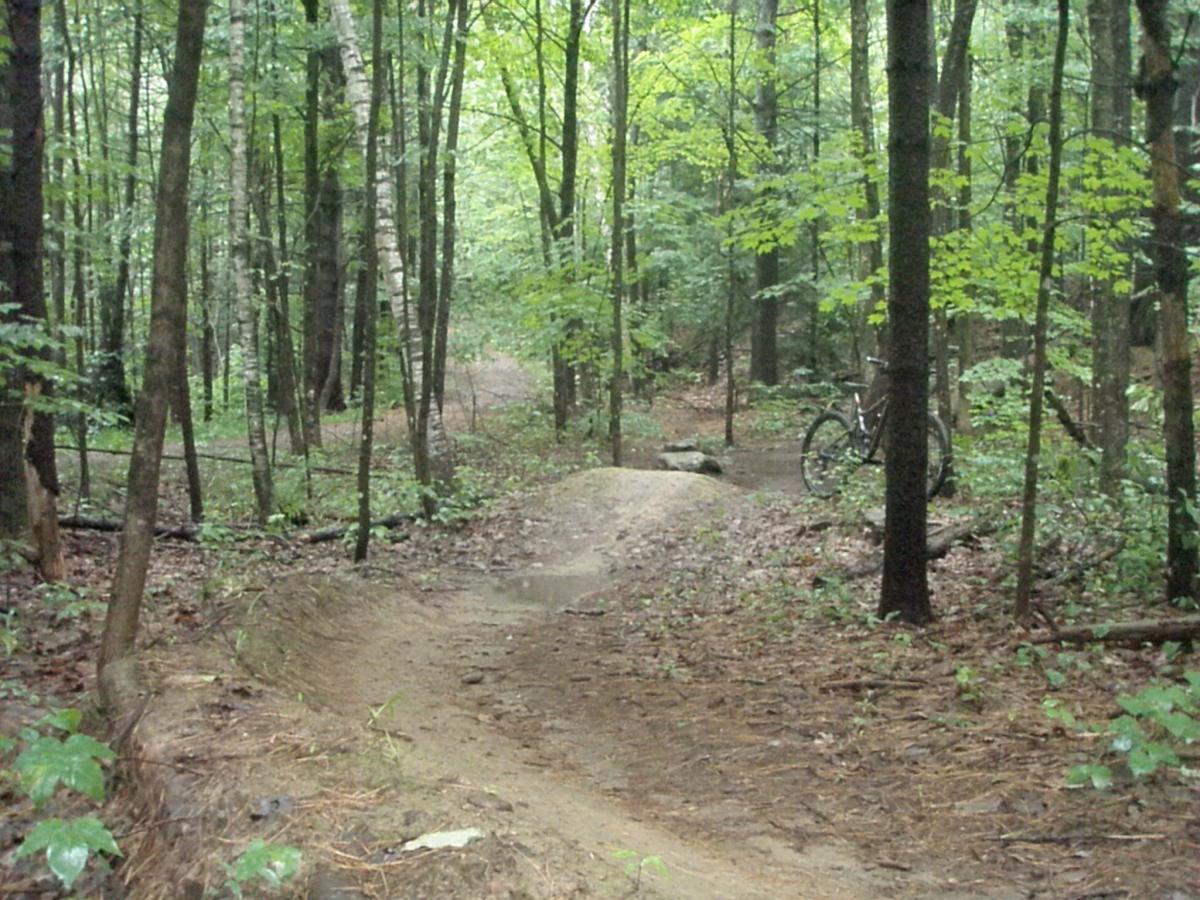 A forested trail surrounded by tall trees, featuring a dirt path that winds through the greenery. A bicycle is parked on the right side of the image, partially hidden among the trees and leaves. The ground is damp, with patches of wet soil visible along the trail. Franklin Falls mountain bike trail.