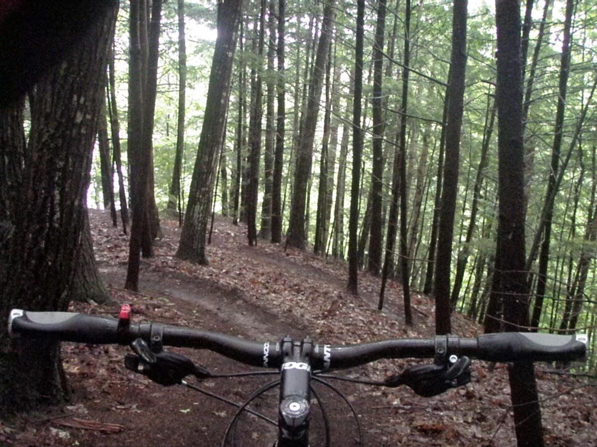 Mountain bike handlebars are visible in the foreground, with a winding dirt trail leading through a dense forest of tall trees. The ground is covered in fallen leaves, and soft, dappled light filters through the canopy above. Franklin Falls mountain bike trail.