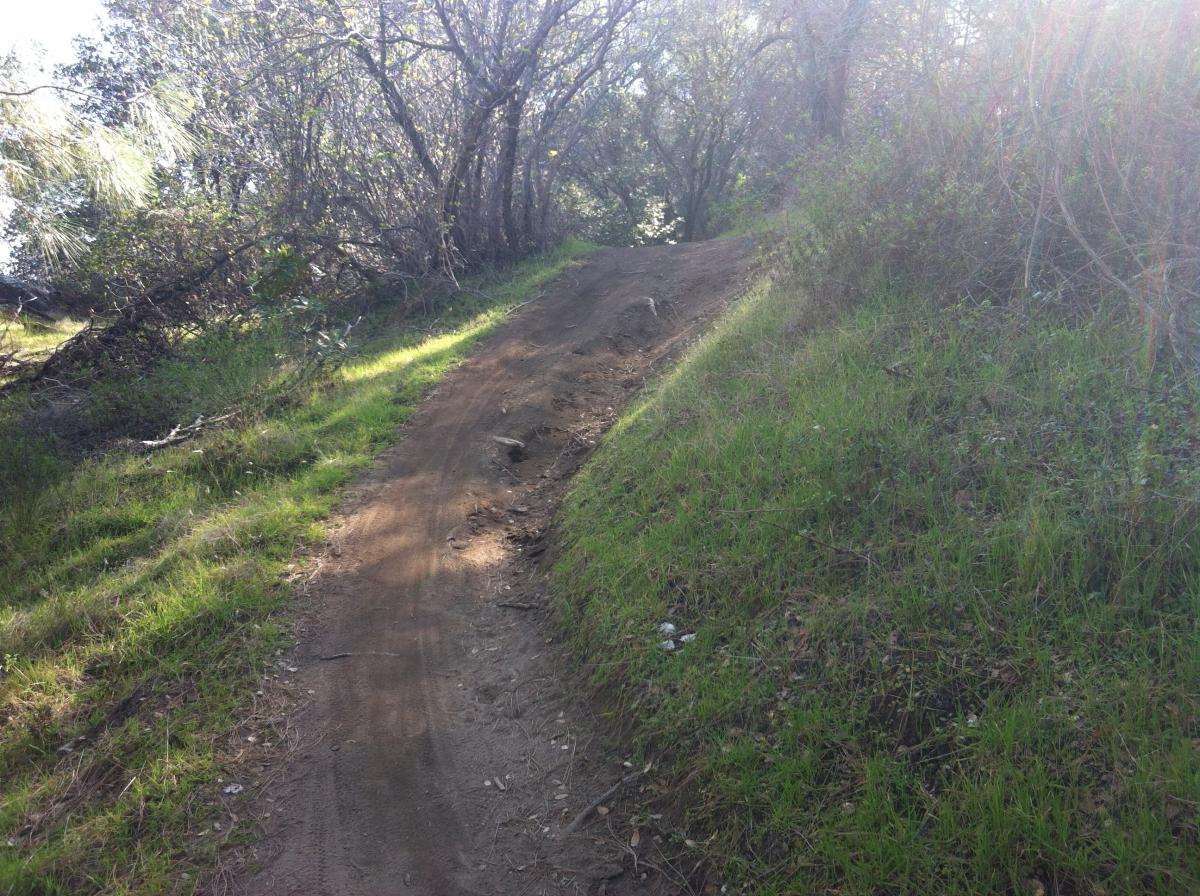 A dirt trail winding through a grassy area, surrounded by trees and shrubs. The path appears to be slightly elevated on one side, with some rocky sections visible. Sunlight filters through the foliage, casting a soft glow on the scene. Granite Bay Trail mountain bike trail.