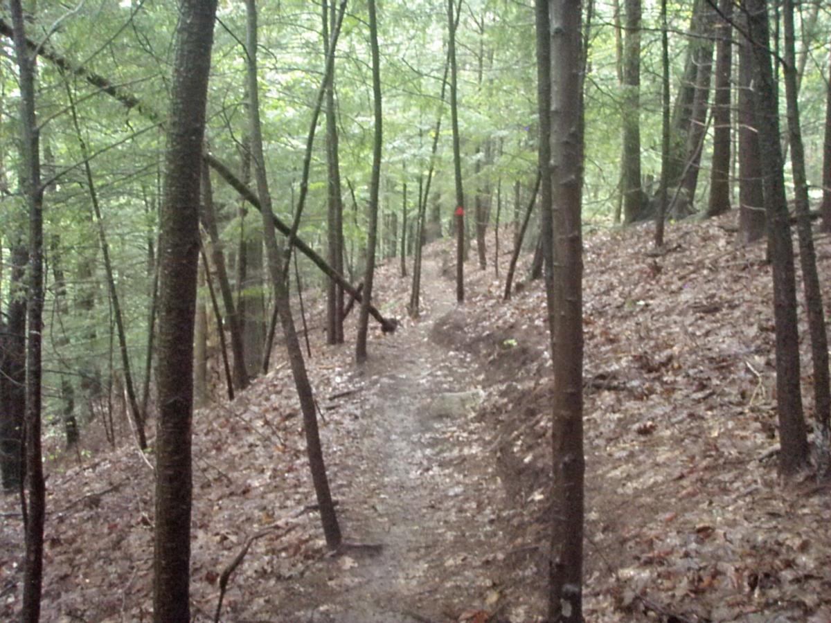 A narrow, winding trail through a dense forest, surrounded by tall trees with green leaves. The ground is covered with wet leaves and mud, indicating recent rainfall. In the distance, a hint of a red marker can be seen along the path, guiding hikers. Franklin Falls mountain bike trail.