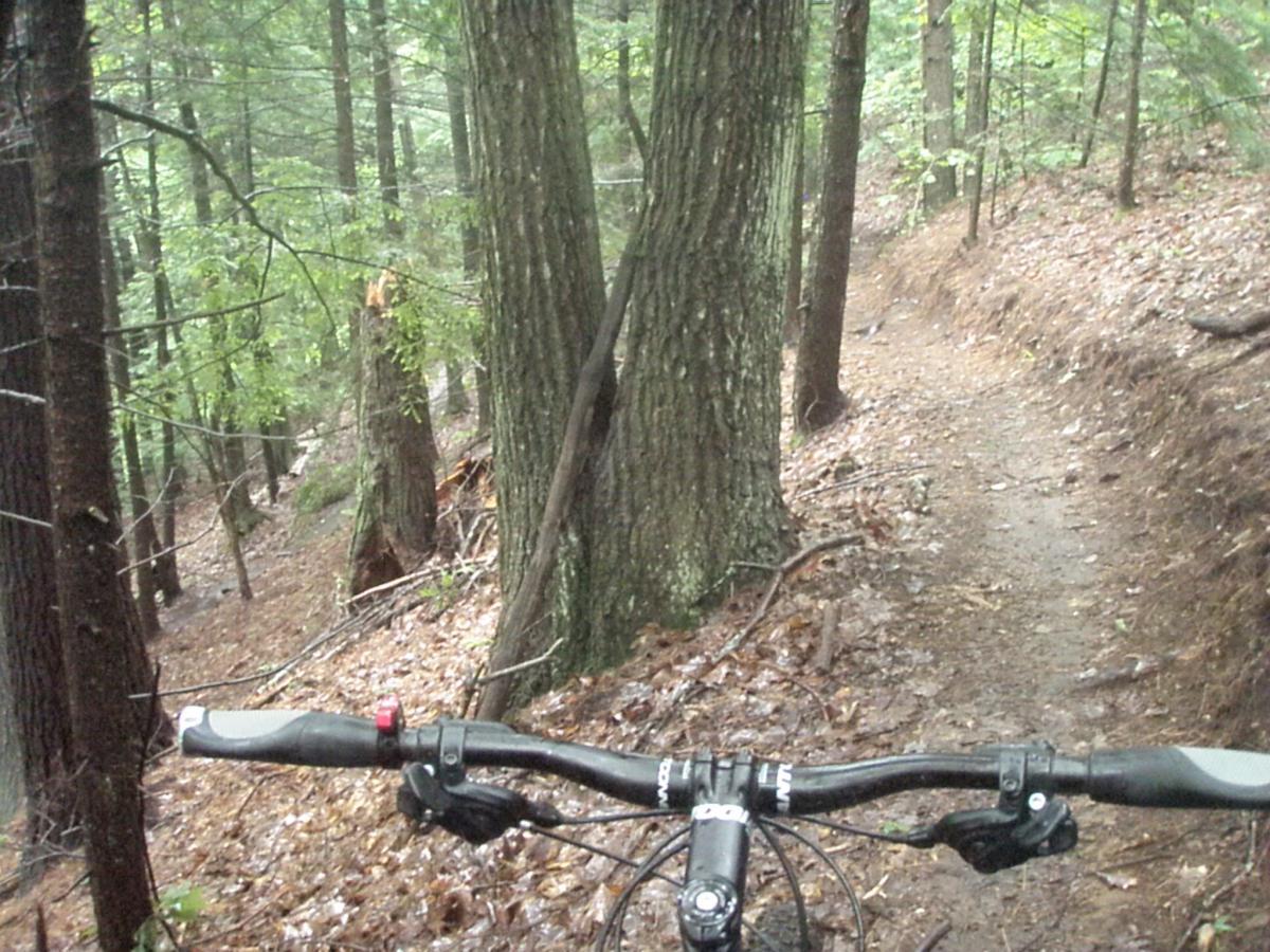 A mountain bike handlebar view on a forest trail, surrounded by tall trees and damp foliage. The path is narrow and winding, with patches of wet leaves along the ground, suggesting recent rain. Franklin Falls mountain bike trail.