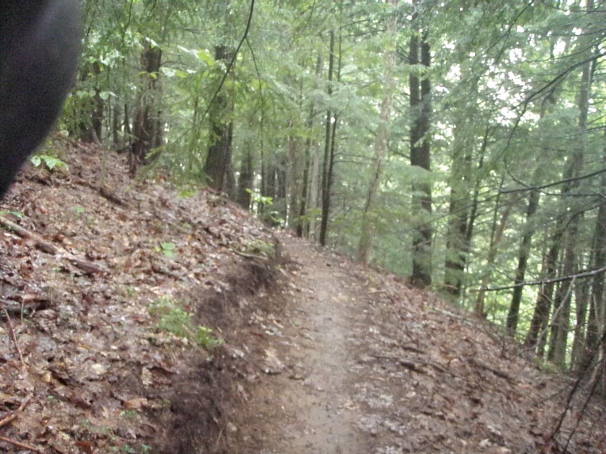 A winding dirt trail through a forest, surrounded by tall trees with lush green foliage. The ground is covered with leaves and soil, indicating a damp environment. The overcast sky suggests it may have recently rained. Franklin Falls mountain bike trail.