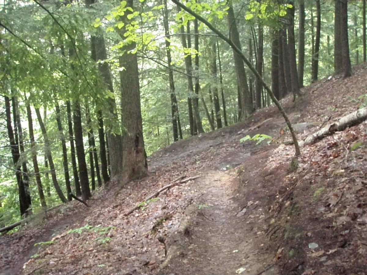 A wooded trail winding through a lush forest, surrounded by tall trees and dappled sunlight filtering through the leaves. The path is slightly dirt and rocky, with patches of greenery and fallen leaves visible along the sides. Franklin Falls mountain bike trail.