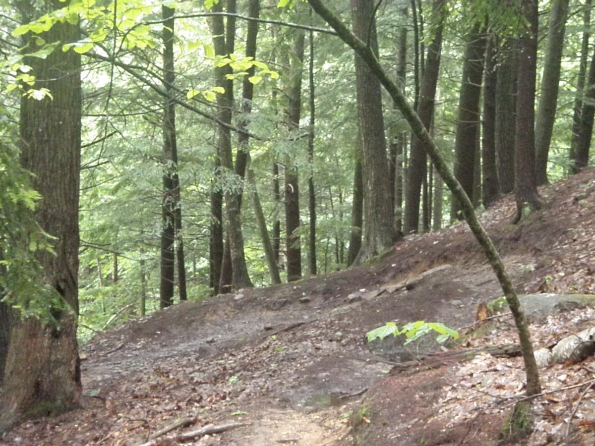 A winding trail through a dense forest, featuring tall trees with green leaves and a damp, earthy ground. Thepath is slightly elevated, surrounded by natural vegetation, creating a serene and lush woodland atmosphere. Franklin Falls mountain bike trail.