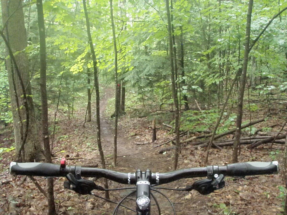 Mountain bike handlebars view pointing down a narrow trail through a dense green forest, with sunlight filtering through the leaves and fallen branches on the forest floor. Franklin Falls mountain bike trail.
