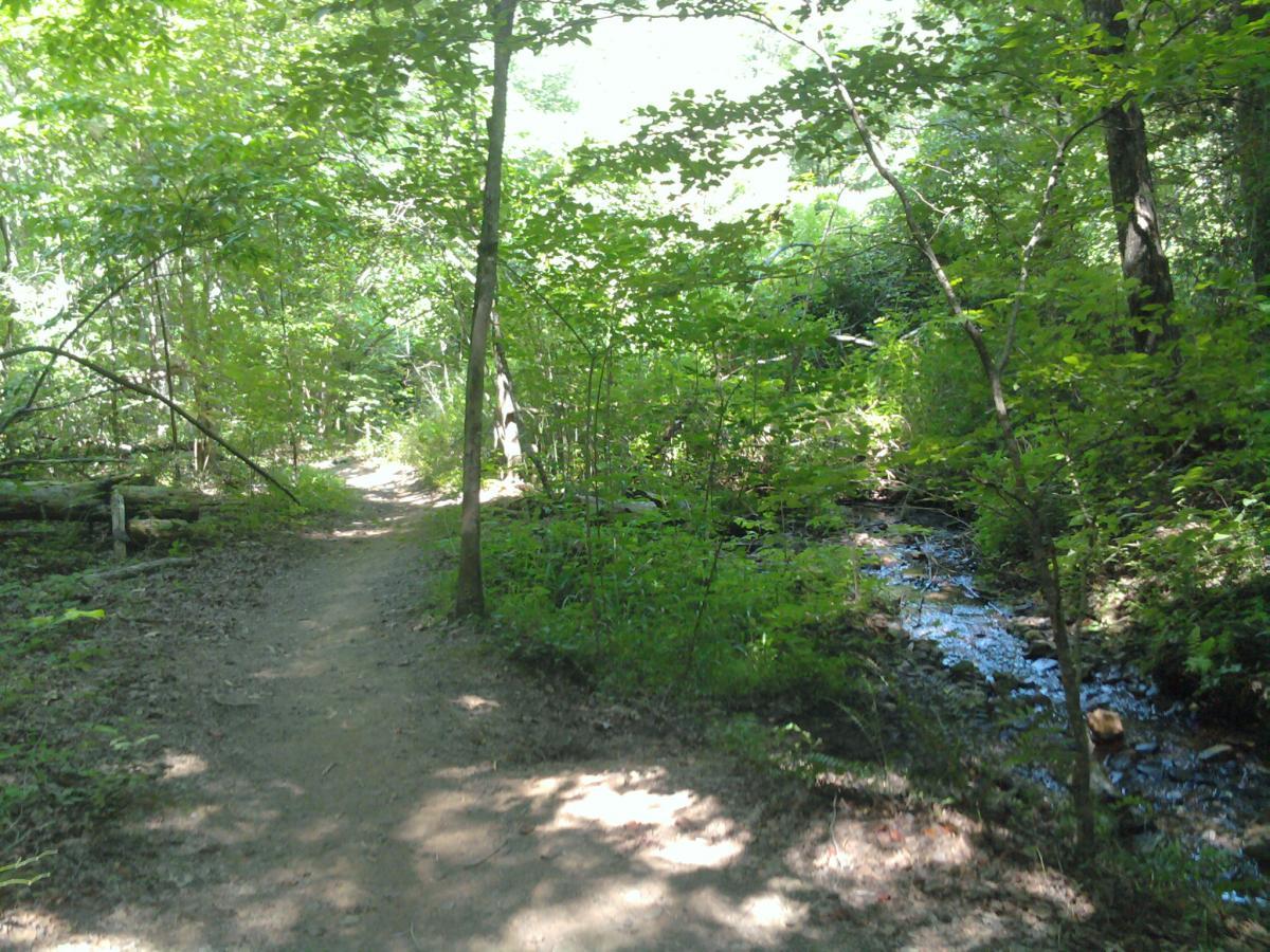 A narrow dirt path winding through a lush green forest, with sunlight filtering through the leaves. A small stream runs alongside the path, creating a tranquil natural setting. Tsali Recreation Area mountain bike trail.