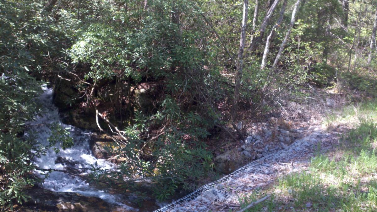 A wooded area featuring a small stream flowing over rocks, with lush green vegetation and trees surrounding the water. A metal grate path runs along the edge of the stream, providing access through the natural landscape. Pinhoti Trail: P1 / Bear Creek Pinhoti mountain bike trail.