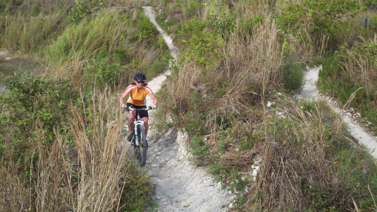 A person riding a mountain bike along a narrow dirt trail surrounded by tall grass and vegetation on a sunny day. Quiet Waters Park mountain bike trail.