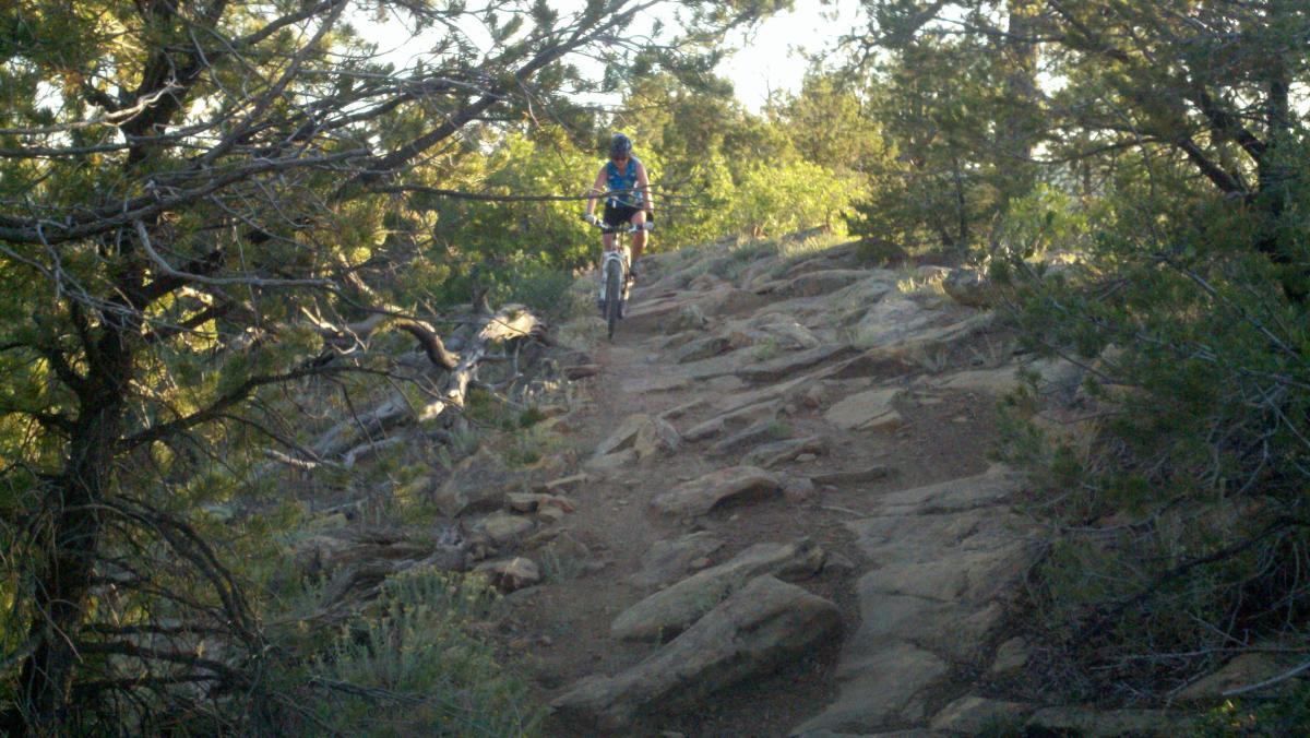A person riding a mountain bike on a rocky, uneven trail surrounded by trees and greenery. The scene is illuminated by natural light, creating a vibrant outdoor atmosphere. Horse Gulch mountain bike trail.
