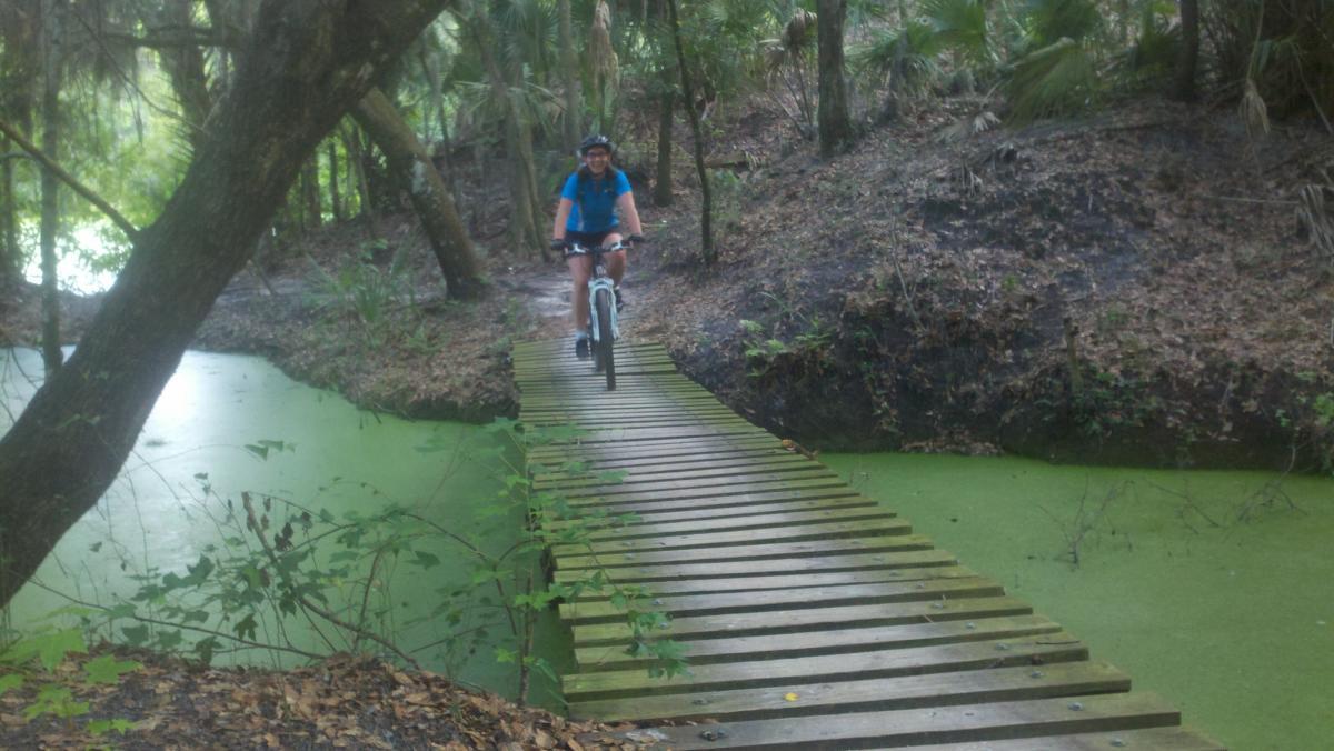 A cyclist rides on a wooden bridge over a green, algae-covered pond, surrounded by lush trees and vegetation in a wooded area. Alafia River State Park mountain bike trail.