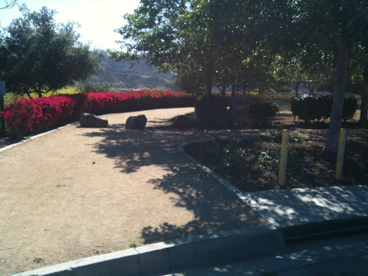 A winding dirt path bordered by vibrant red flowers and green shrubs, with two large rocks placed along the way. The scene features trees casting shadows on the ground, and a clear blue sky in the background, creating a serene outdoor setting. San Clemente Singletracks mountain bike trail.