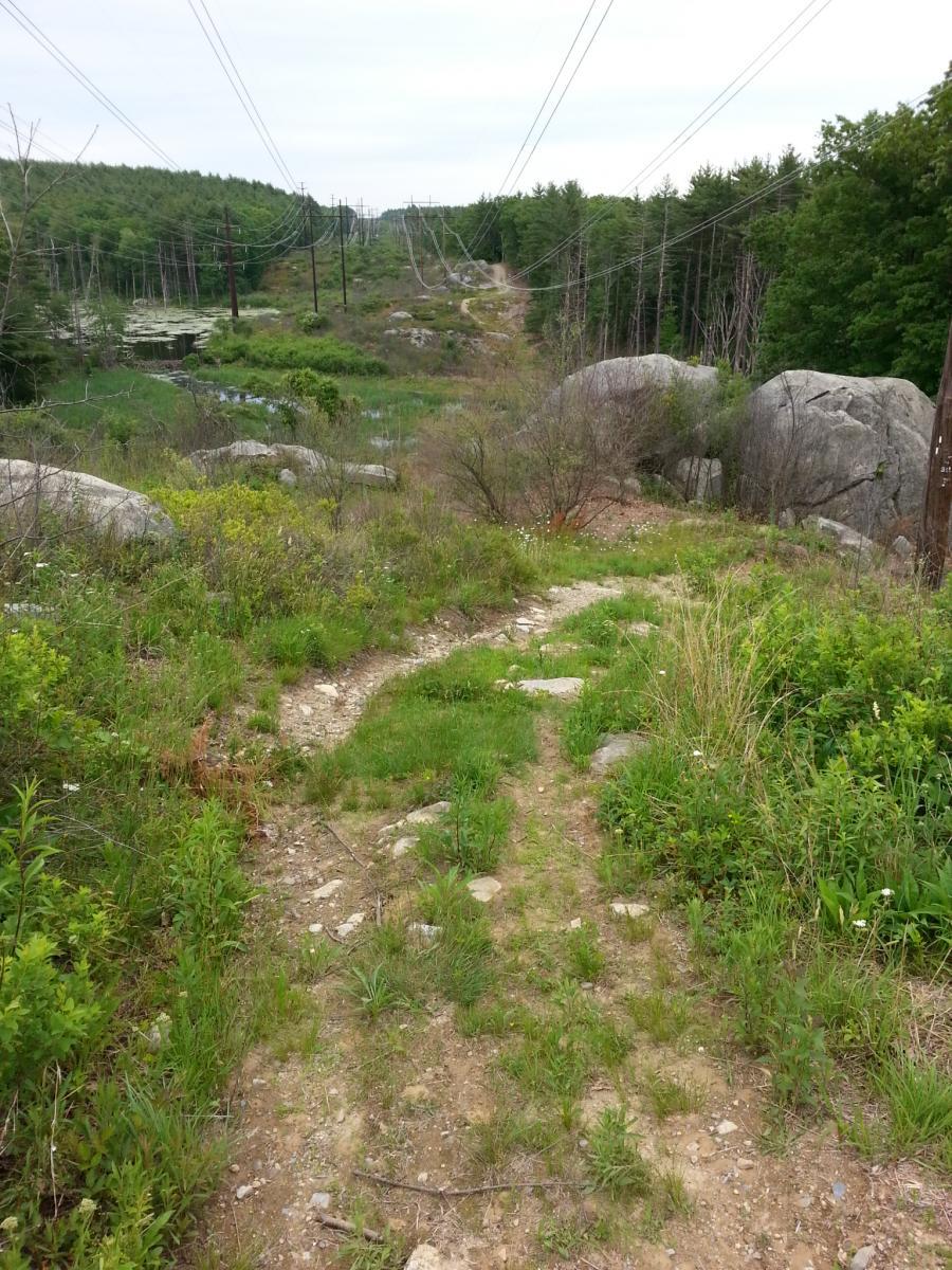 A winding dirt path meanders through a grassy landscape, bordered by rocks and patches of greenery. Utility poles and power lines stretch across the scene, leading towards a wooded area in the background. A small body of water can be seen among the vegetation, under a cloudy sky. South Groton Trails mountain bike trail.