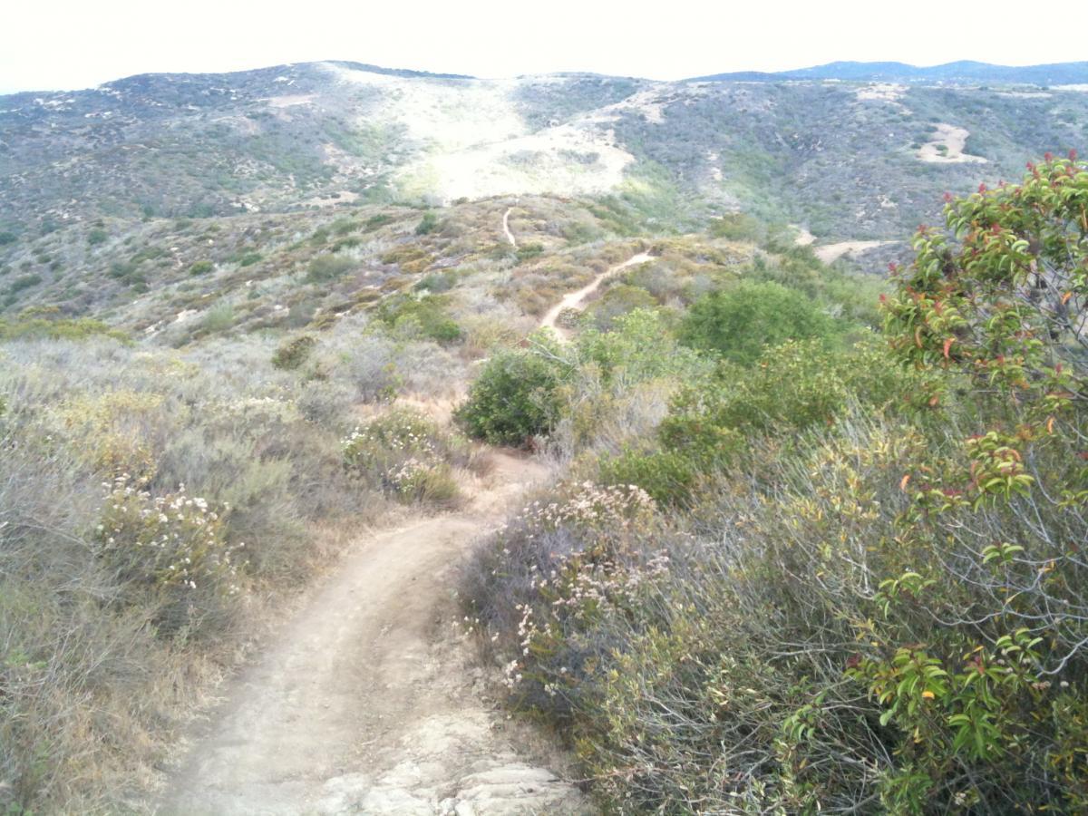Winding dirt path through a hilly landscape with sparse vegetation and scattered shrubs under a cloudy sky. Old Emerald Trail mountain bike trail.