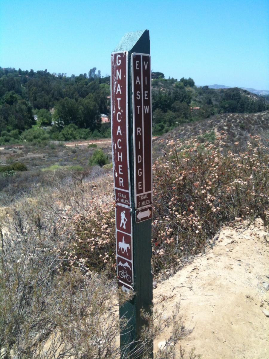 A trail signpost in a natural setting, indicating directions to various hiking and biking trails, including "Gnatcatcher," "East View," and "Ridge." The post features symbols for hiking, horseback riding, and biking, along with mile markers for each trail. The background consists of a hilly landscape with green vegetation under a clear blue sky. Peters Canyon Regional Park mountain bike trail.