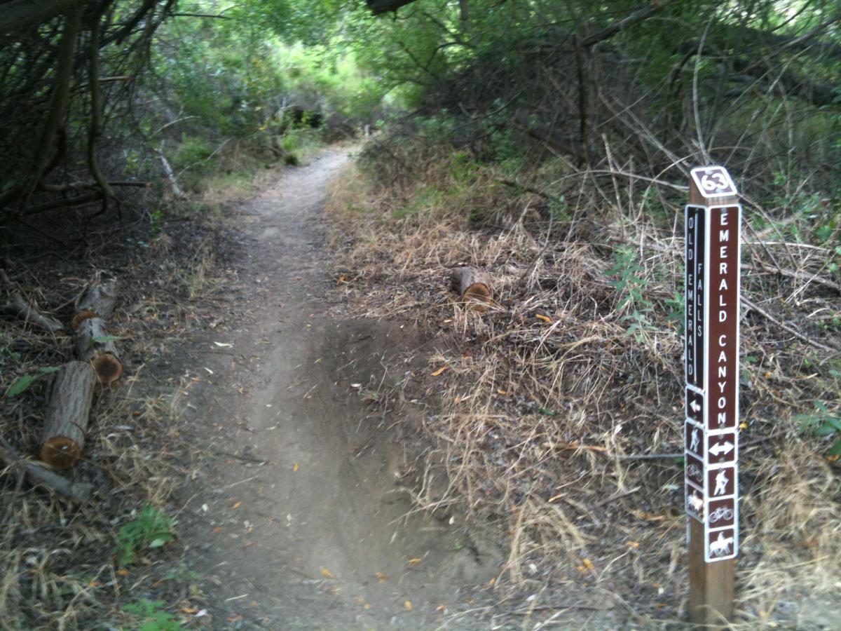 A narrow dirt trail winding through a wooded area, with a trail marker sign indicating "Emerald Canyon" on the right. The path is flanked by overgrown vegetation and fallen logs, suggesting a natural and rustic environment. Old Emerald Falls Trail mountain bike trail.