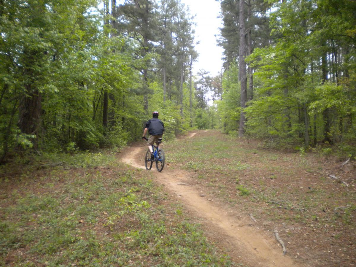 A person riding a blue bicycle along a winding dirt path in a lush green forest, surrounded by tall trees and greenery. Fort Yargo State Park mountain bike trail.