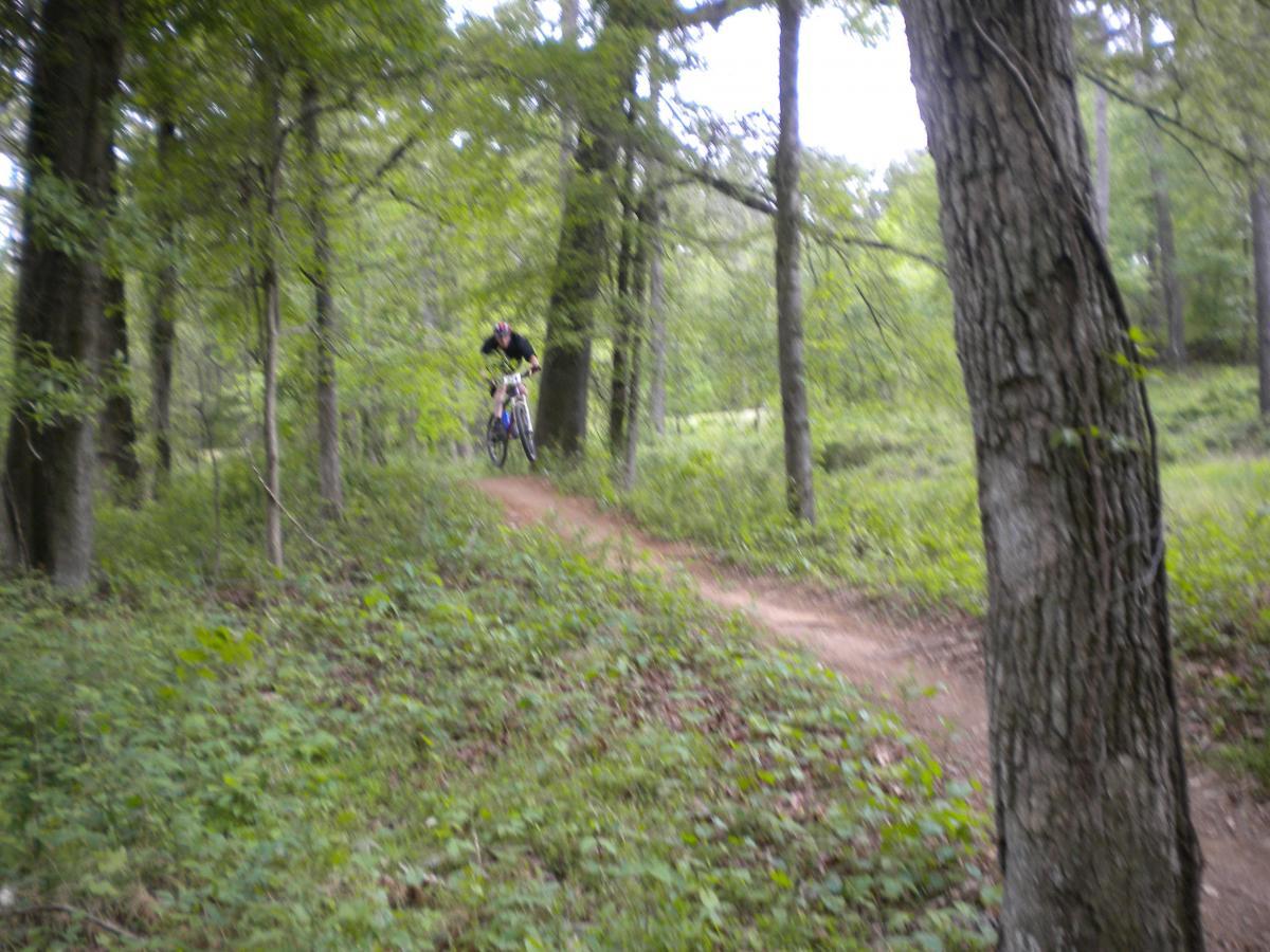 A mountain biker in mid-air jumps over a dirt path surrounded by lush greenery and tall trees in a forest setting. Fort Yargo State Park mountain bike trail.