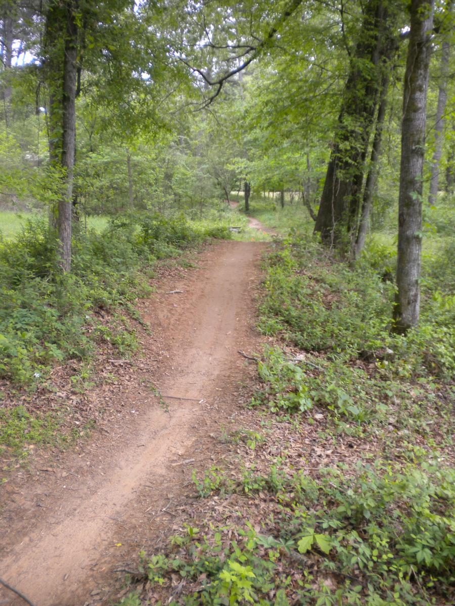 A dirt path winding through a lush, green forest, surrounded by tall trees and dense foliage. The path is well-defined and leads into the distance, inviting exploration. Fort Yargo State Park mountain bike trail.