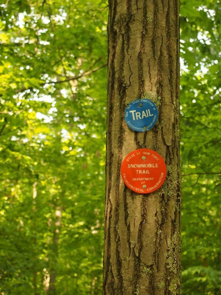 Two trail markers attached to a tree in a lush, green forest. The top marker is blue and labeled "TRAIL," while the bottom marker is orange and reads "SNOWMOBILE TRAIL," indicating designated paths for outdoor activities. Stewart State Forest mountain bike trail.