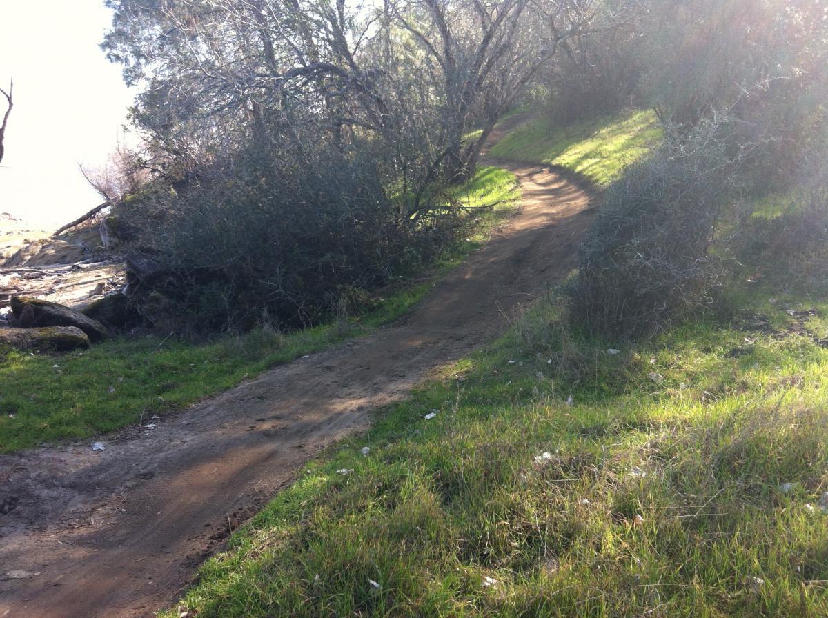 A winding dirt path through lush green grass and shrubs, leading up a slope toward trees, with a serene natural background. Granite Bay Trail mountain bike trail.