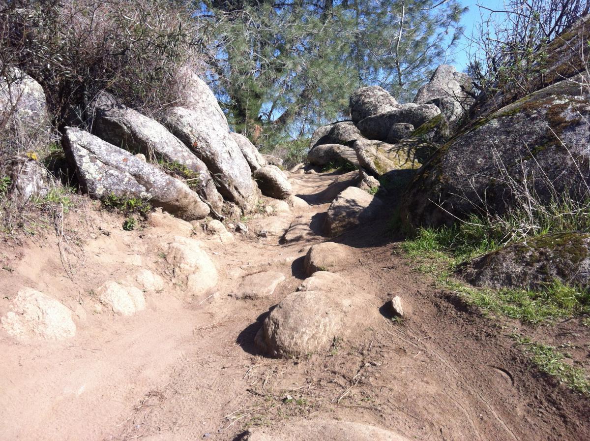 Rocky hiking trail winding through vegetation, with large boulders and a sandy path leading into the distance under clear blue skies. Granite Bay Trail mountain bike trail.