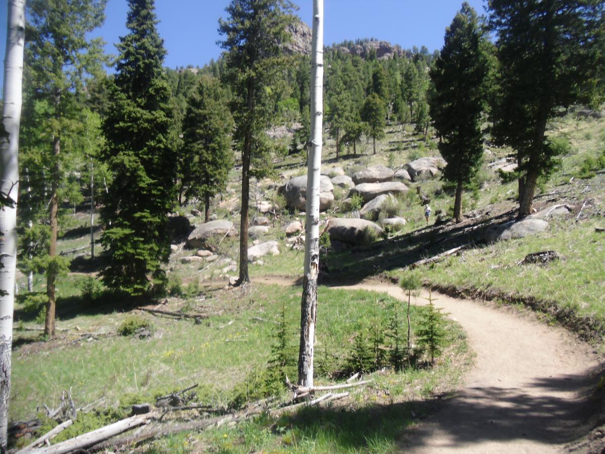 A scenic view of a winding dirt path through a forested area, surrounded by tall green trees and large rocks. The landscape features a mix of aspen and coniferous trees, with a grassy area on one side of the trail, under a clear blue sky. A small figure can be seen walking along the path in the distance. Staunton State Park mountain bike trail.