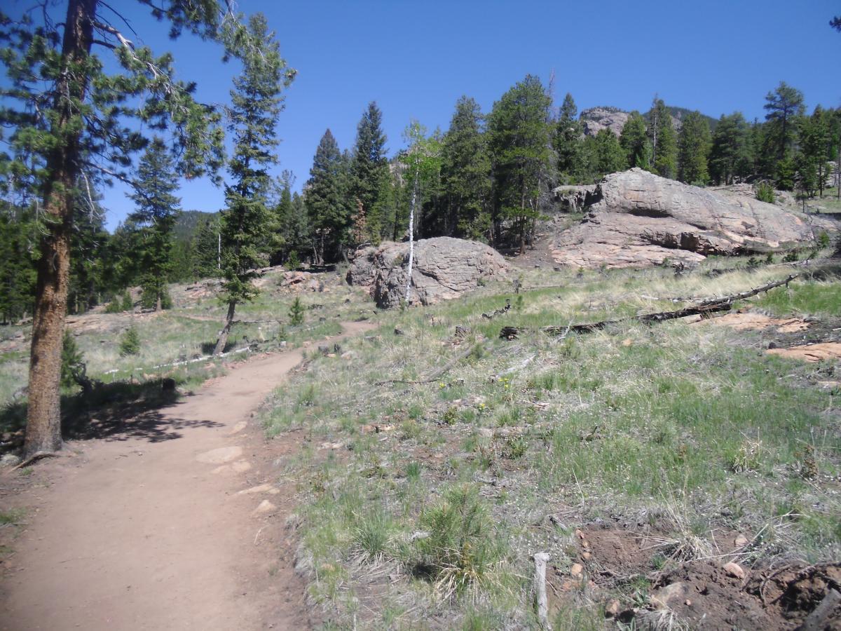 A scenic view of a dirt path winding through a mountainous landscape with green grass and a mix of coniferous trees. Large rocky formations are visible in the background under a clear blue sky. Staunton State Park mountain bike trail.