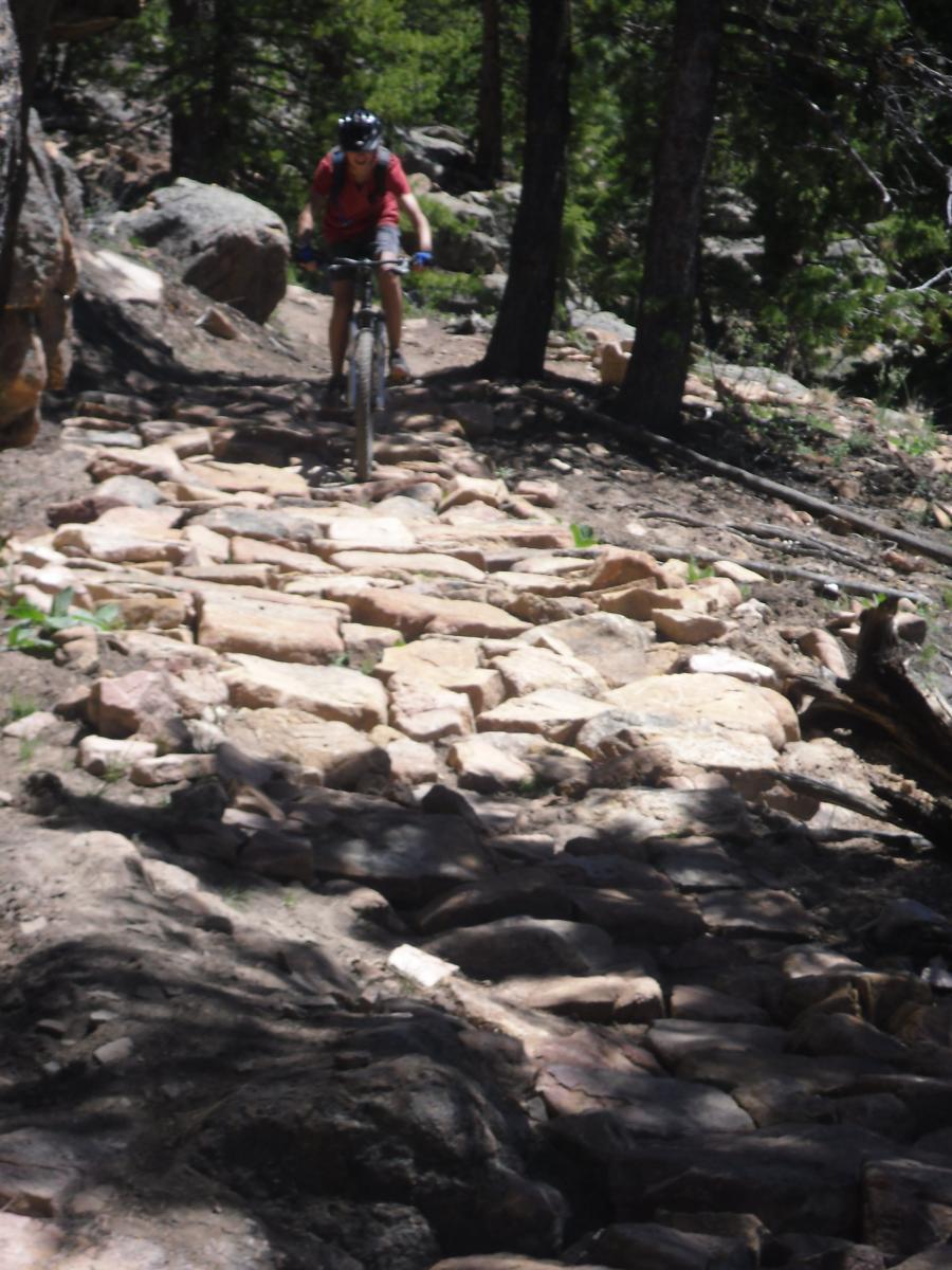 A mountain biker riding along a rocky trail surrounded by trees. The path is made of uneven stone and dirt, indicating a challenging terrain for cycling. Staunton State Park mountain bike trail.