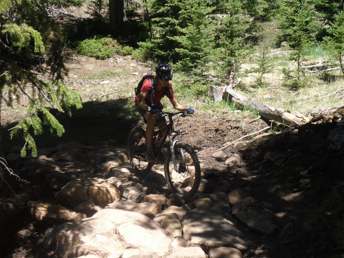A mountain biker navigating over rocky terrain in a forested area, surrounded by trees and natural vegetation. The cyclist is wearing a helmet and has a hydration pack, focused on maintaining balance while riding. Sunlight filters through the trees, illuminating the trail. Staunton State Park mountain bike trail.