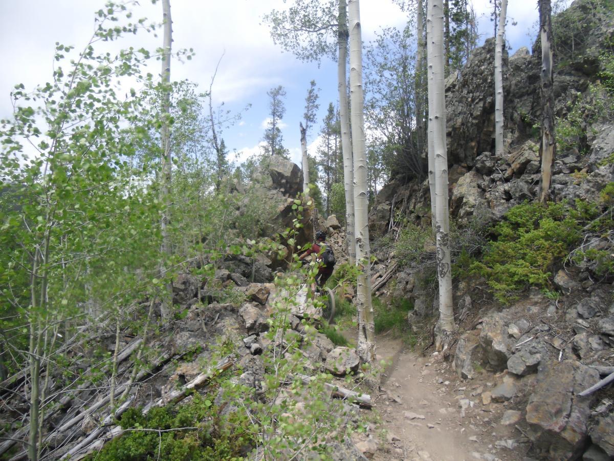 A narrow mountain trail winding through a dense forest of aspen trees and rocky terrain, with patches of green foliage and scattered boulders. The path is flanked by trees and rocky outcrops, creating a natural, serene environment. Flume Loop mountain bike trail.