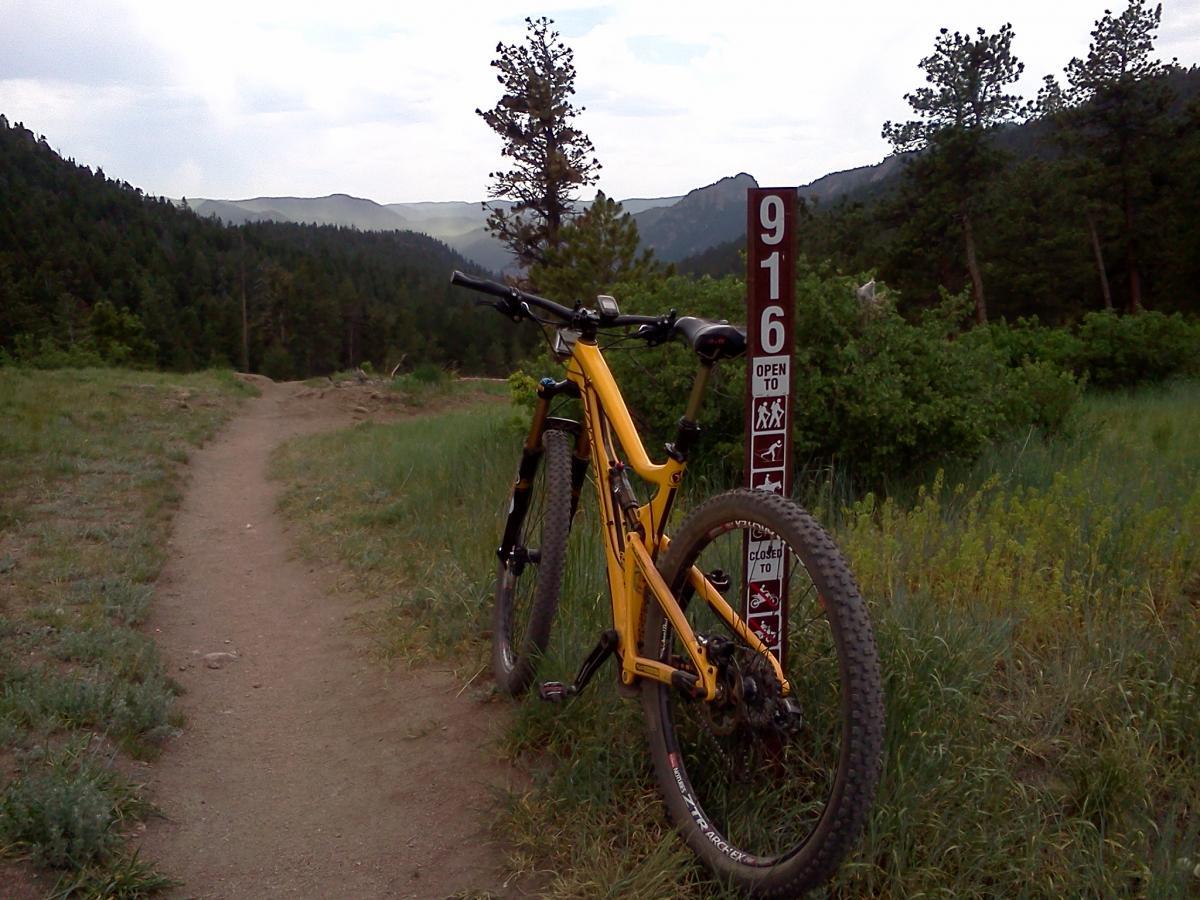 Santa Cruz TallBoyLTc: A yellow mountain bike is leaned against a trail sign marked "916" in a forested area, with a dirt path leading into the lush greenery and mountains in the background. The scene captures a serene outdoor setting, ideal for biking or hiking.